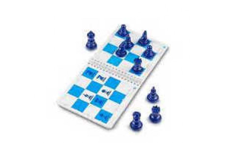 Venez essayer le Chess Solitaire à la salle du Panséra